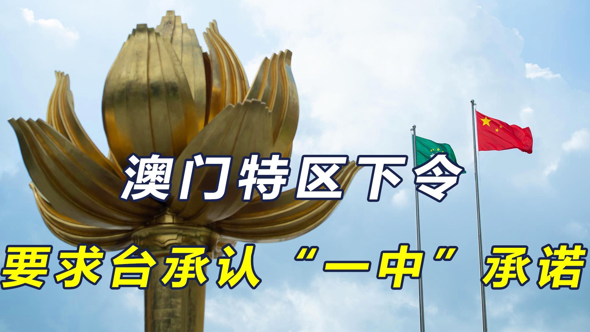澳門一碼一肖一特一中今晚預測與探索，澳門今晚一碼一肖一特一中預測與揭秘