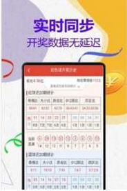 澳門王中王計(jì)劃平特一肖，揭秘與探索，澳門王中王計(jì)劃揭秘，平特一肖的秘密探索