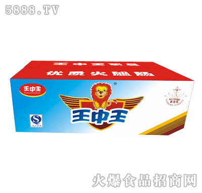 王中王一肖特圖，揭秘背后的故事與魅力，揭秘王中王一肖特圖的背后故事與魅力
