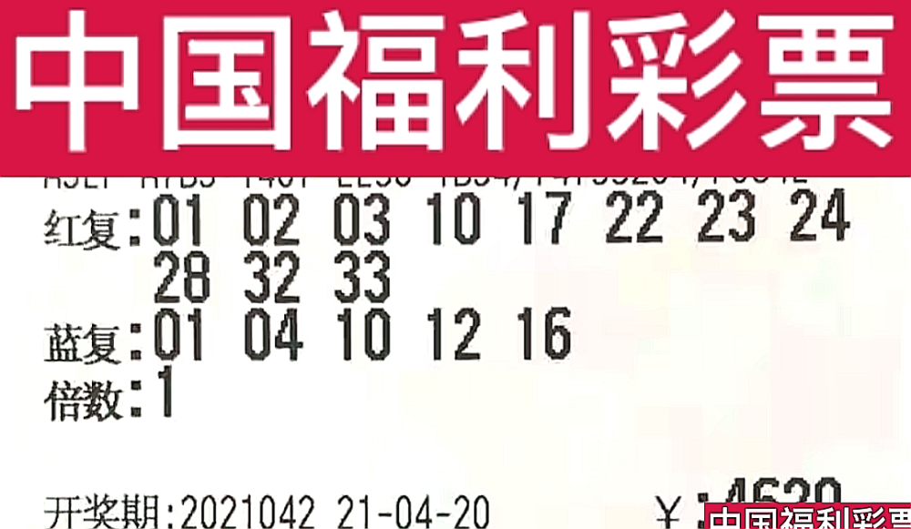 新奧門今晚開獎結果查詢第243期，全面解析與預測，新奧門第243期開獎結果解析與預測，今晚開獎揭秘