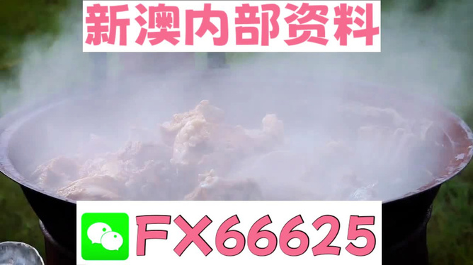 新澳全年免費(fèi)資料大全，一站式獲取優(yōu)質(zhì)資源指南，新澳全年優(yōu)質(zhì)資源免費(fèi)獲取指南