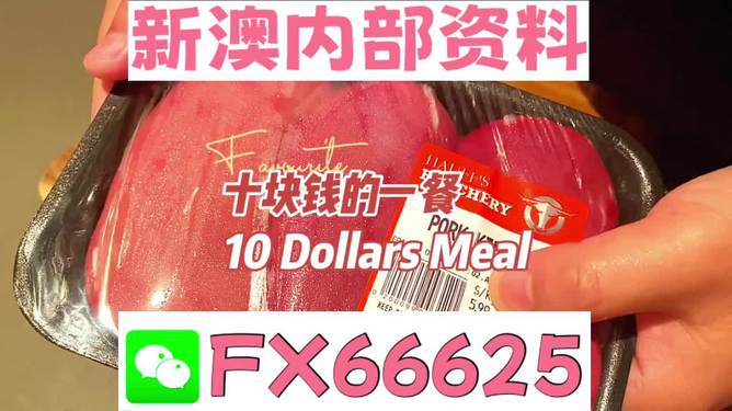 揭秘2025新奧精準正版資料，全方位解讀與SEO優(yōu)化策略，揭秘2025新奧精準正版資料，全方位解讀與SEO策略優(yōu)化指南