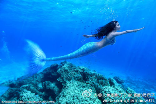 澳門美人魚最快開獎結(jié)果圖——揭秘?zé)衢T彩票游戲背后的秘密，澳門美人魚彩票開獎揭秘，最新結(jié)果圖與游戲背后秘密探索