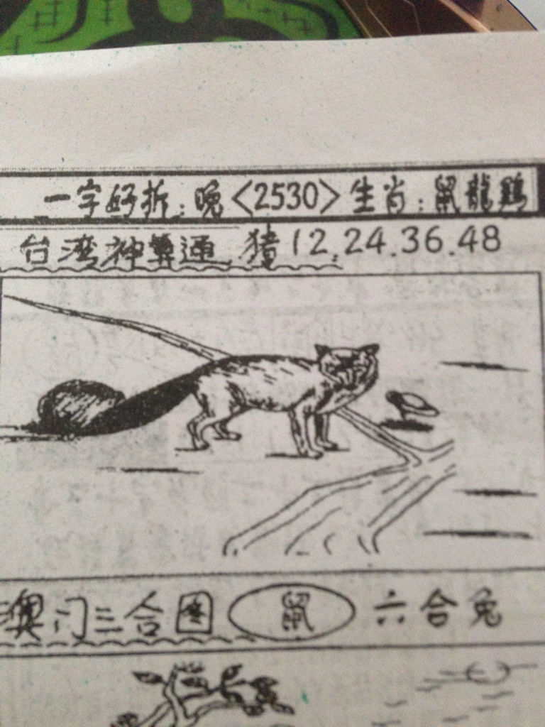 揭秘劉伯溫的生肖，一場看圖尋特之旅，揭秘劉伯溫生肖之謎，一場生肖圖片探尋之旅