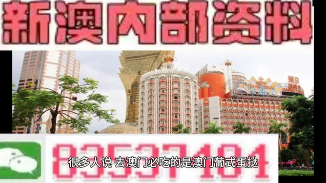 新澳門三中三碼精準(zhǔn)預(yù)測，揭秘成功概率背后的秘密與策略（附詳細(xì)解析），揭秘新澳門三中三碼成功預(yù)測背后的秘密與策略解析