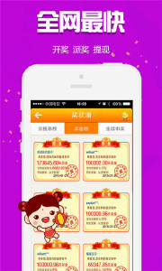 王中王303期指一生肖——探尋生肖文化中的奧秘與魅力，探尋生肖文化中的奧秘與魅力——王中王303期指一生肖