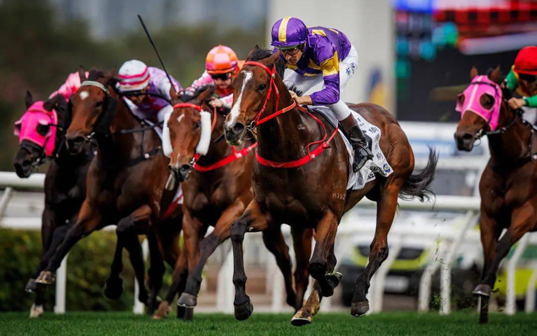 香港賽馬，探索賽馬運(yùn)動(dòng)的激情與榮耀之地——7777788888的獨(dú)特魅力，香港賽馬，激情與榮耀的獨(dú)特魅力探索——777778賽馬運(yùn)動(dòng)之地