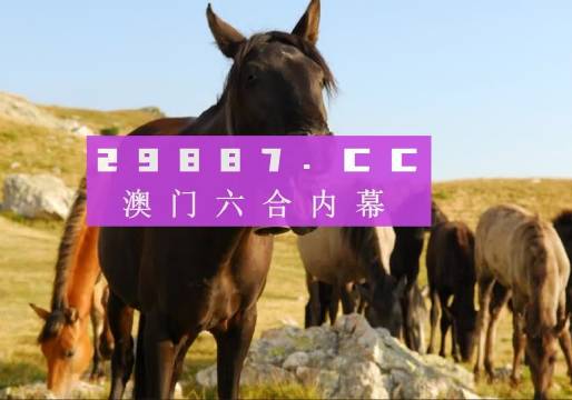 澳門管家婆一肖一碼一中一，揭秘與解析，澳門管家婆一肖一碼揭秘與解析