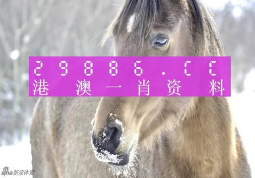 澳門一肖一碼背后的故事，精準(zhǔn)背后的秘密與傳奇，澳門一肖一碼背后的秘密與傳奇故事揭秘