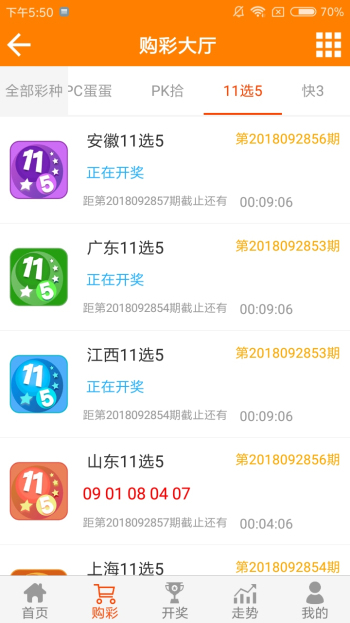 王中王資料一肖一特，深度解析與探索，王中王資料一肖一特，深度解析與探索揭秘