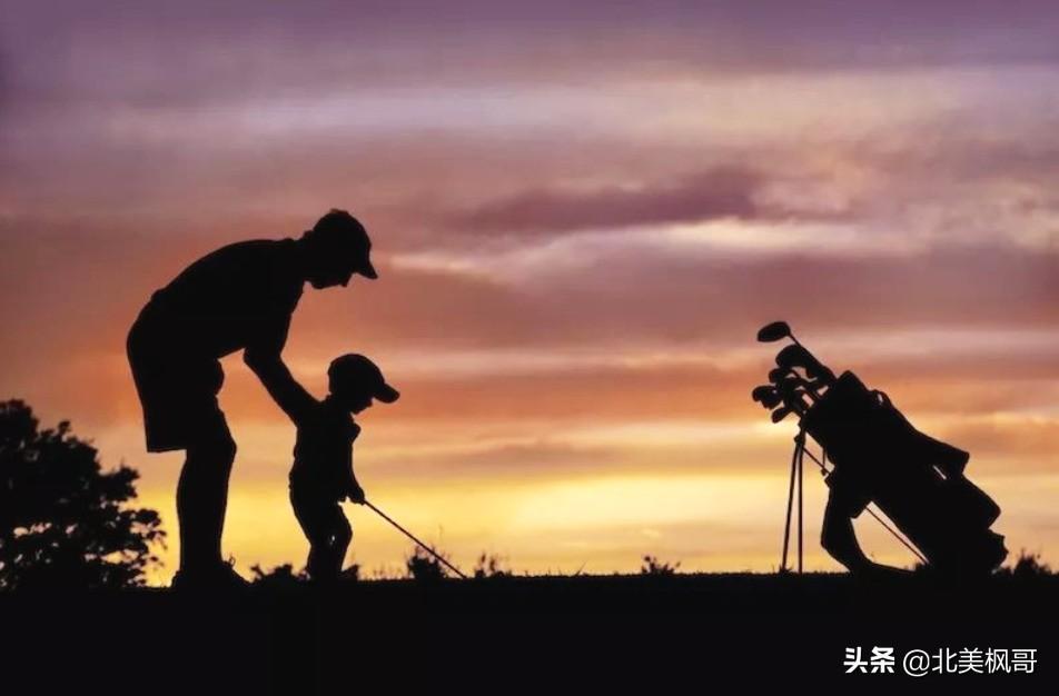 森林高手王中王與神秘生肖——深度解讀背后的故事與秘密，森林高手王中王與神秘生肖，故事背后的深度解讀與秘密探尋