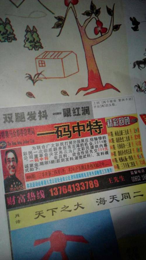 欲錢詩猜一肖——探尋王中王的奧秘，探尋王中王的奧秘，欲錢詩猜一肖