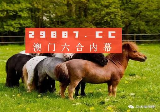 馬會王中王平特一肖論壇，探索與討論的平臺，馬會王中王平特一肖論壇，探索與討論的平臺匯聚智慧力量