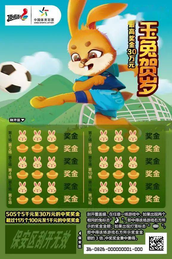 王中王一肖中特兔費(fèi)，探索關(guān)鍵詞背后的奧秘，探索關(guān)鍵詞王中王一肖中特兔費(fèi)背后的奧秘