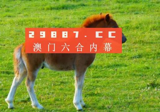 新奧門一肖一馬平特大全，揭秘?zé)衢T關(guān)鍵詞背后的故事，揭秘新澳門熱門關(guān)鍵詞背后的故事，一肖一馬平特大全