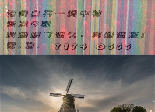 王中王四肖三期必出一期，揭秘彩票背后的秘密策略與技巧，揭秘彩票策略與技巧，王中王四肖三期必出一期之道
