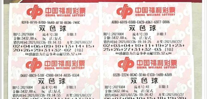 王中王084期指一生肖，解讀背后的秘密與生肖運勢分析，王中王084期生肖揭秘，秘密解讀與運勢展望