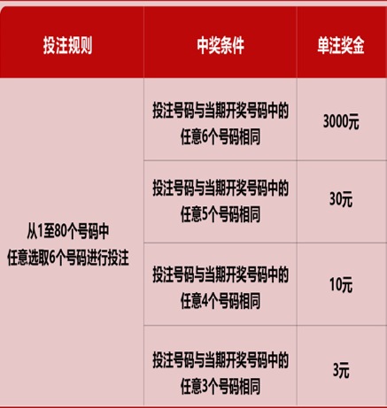 新澳門(mén)六開(kāi)彩天天開(kāi)獎(jiǎng)結(jié)果，揭秘彩票背后的秘密，揭秘新澳門(mén)六開(kāi)彩天天開(kāi)獎(jiǎng)背后的秘密