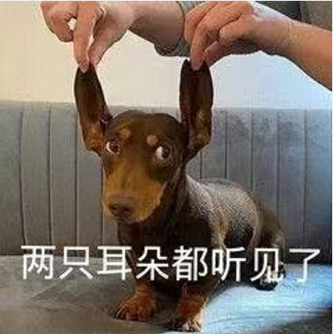 王中王四不象必中一肖，揭秘背后的秘密與策略，揭秘王中王四不象必中一肖背后的秘密與策略之道