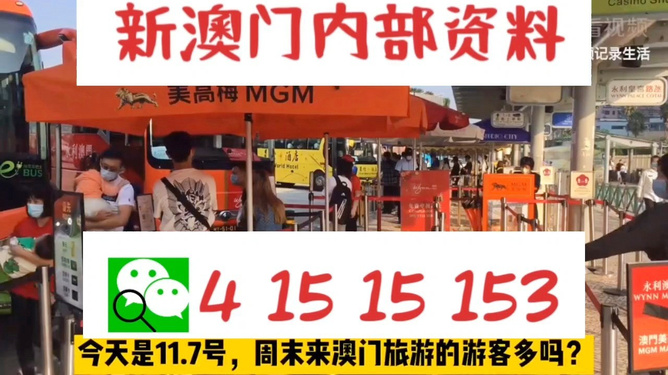 新澳今晚上9點(diǎn)30分的魅力瞬間與精彩展望，新澳之夜，9點(diǎn)30分的魅力瞬間與精彩展望