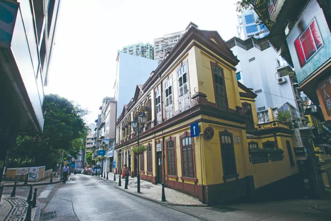 新澳門一肖單像——揭秘生肖彩票的奧秘，揭秘新澳門生肖彩票奧秘，一肖單像探秘