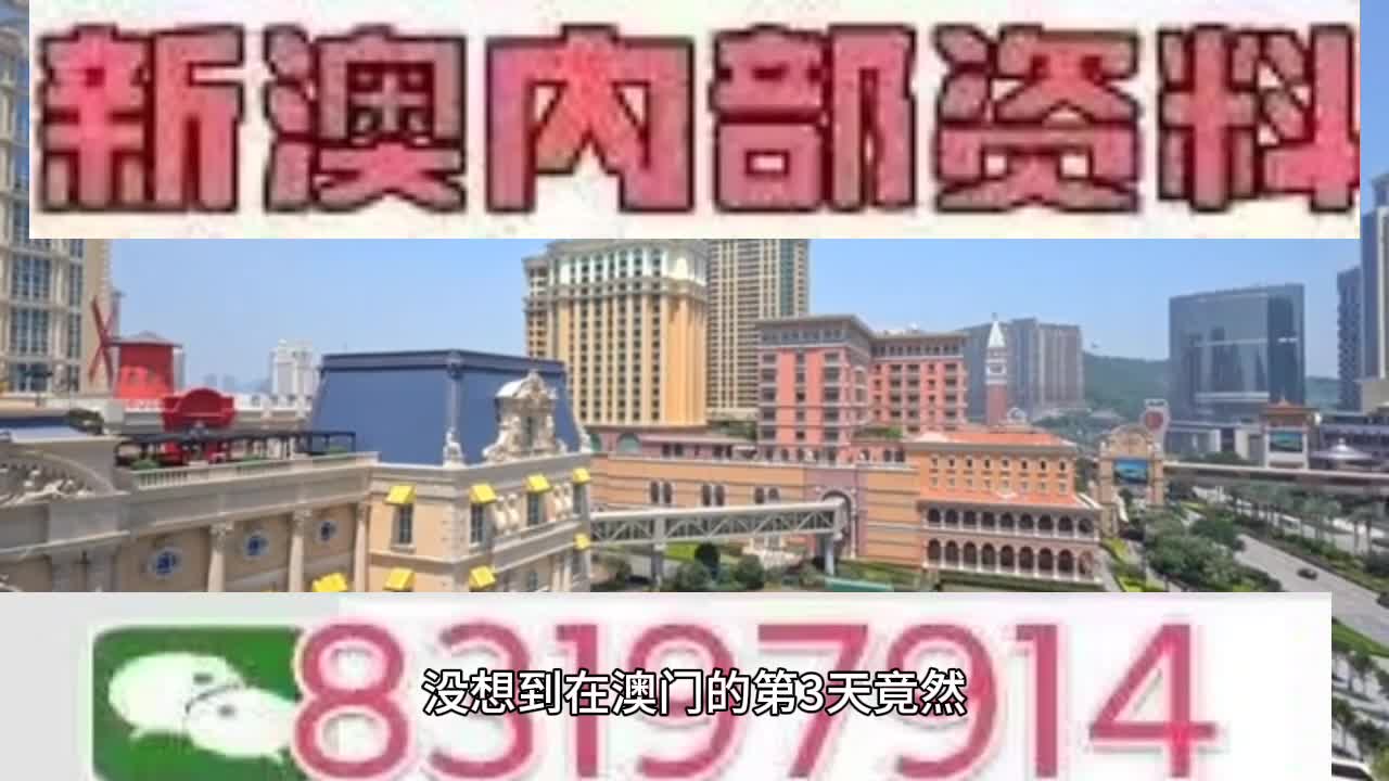 新澳門今晚必開一肖一特，探索生肖與特碼的魅力，澳門生肖特碼探索，今晚必開一肖一特之魅力
