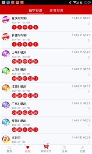 一碼一肖，揭秘背后的秘密與探索其獨特魅力，揭秘一碼一肖背后的秘密與獨特魅力探索