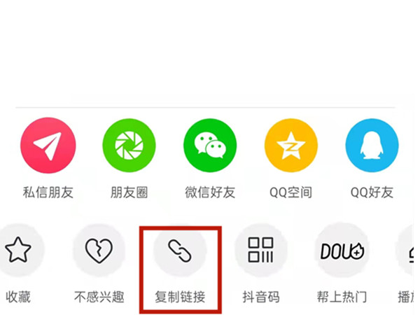 白小姐王中王中特一肖，神秘傳奇與SEO探索，神秘傳奇與SEO探索，白小姐王中王中特一肖的奧秘
