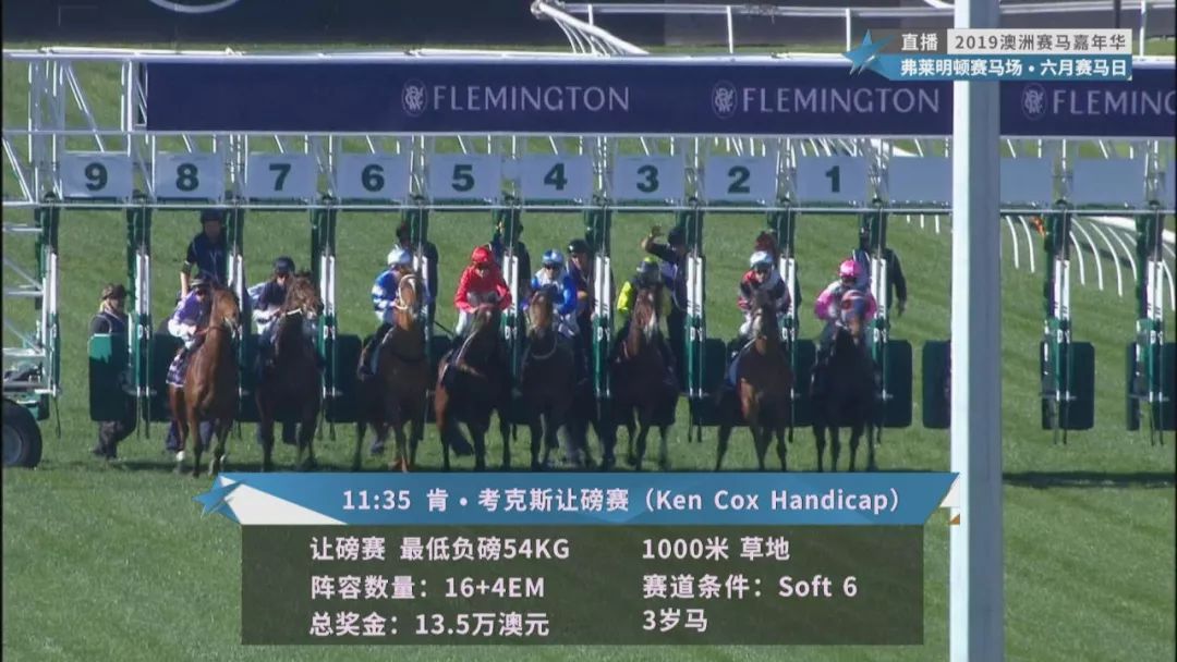 賽馬澳門六月開獎結(jié)果，探索與期待，澳門六月賽馬開獎揭曉，探索結(jié)果引期待