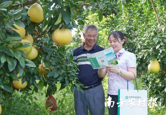 資料大全正版資料2025，一站式獲取所有你需要的信息，資料大全正版資料2025，一站式獲取所有信息總匯