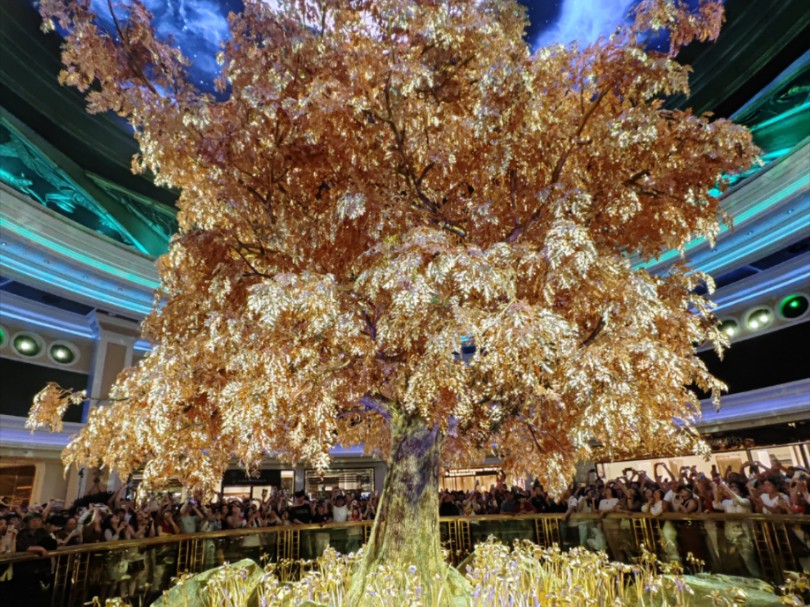 澳門搖錢樹開獎最快——探索彩票世界的神秘魅力，澳門搖錢樹彩票開獎揭秘，探索神秘彩票世界的魅力