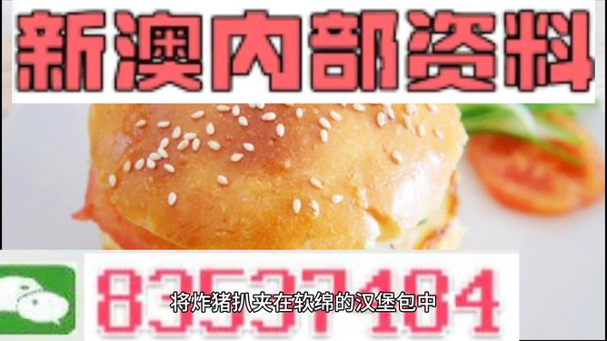 2025新澳正版資料精準(zhǔn)解析，2025新澳正版資料精準(zhǔn)解析手冊(cè)