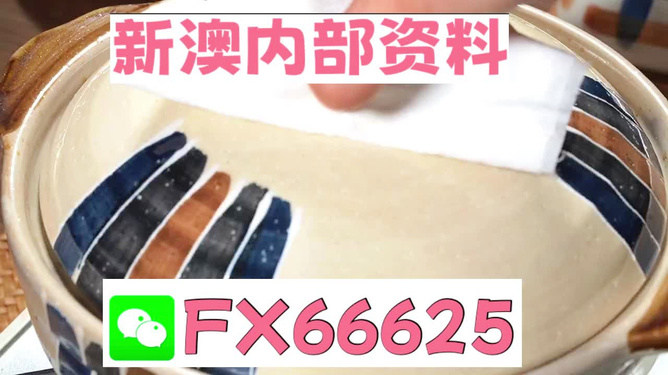 新澳精準(zhǔn)資料免費提供，探索與實踐的指南，新澳精準(zhǔn)資料免費分享，探索與實踐的導(dǎo)航指南
