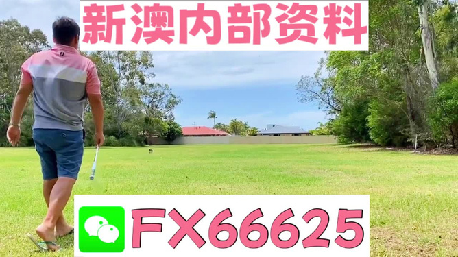王中王一碼二肖，揭秘背后的秘密，揭秘王中王一碼二肖背后的秘密