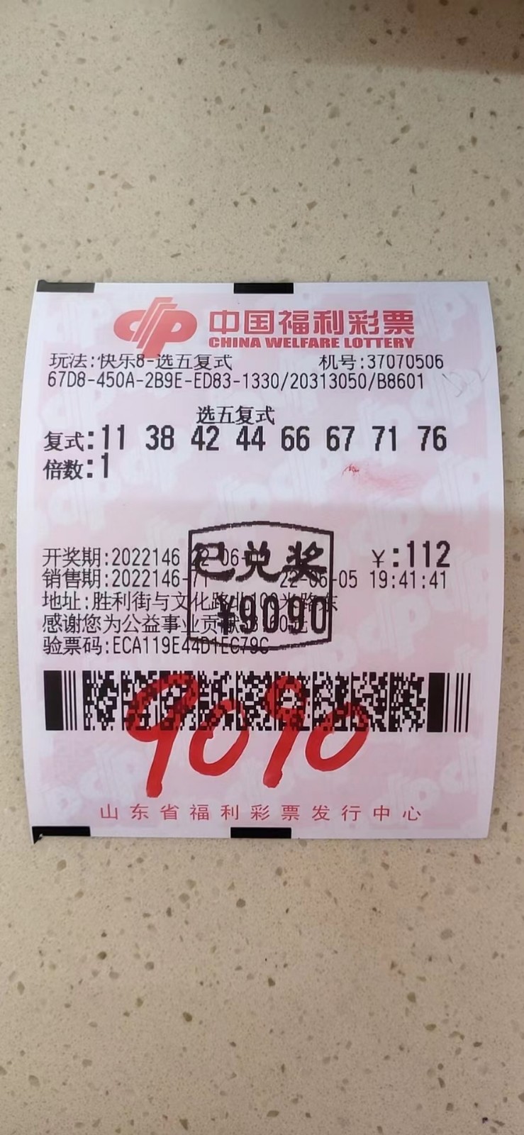 揭秘002期王中王平特一肖，背后的故事與奧秘，揭秘王中王平特一肖背后的故事與奧秘（第002期）