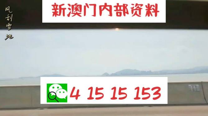 新澳2025最新資料生肖，深度解析與預(yù)測展望，新澳2025最新生肖資料深度解析與未來預(yù)測展望