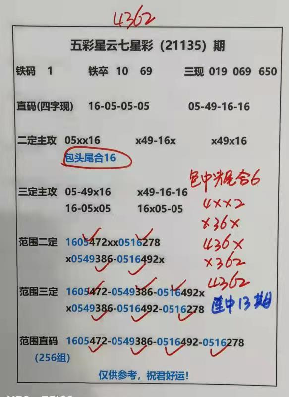 迎接美好未來，2025天天好彩，迎接美好未來，2025年天天精彩無限