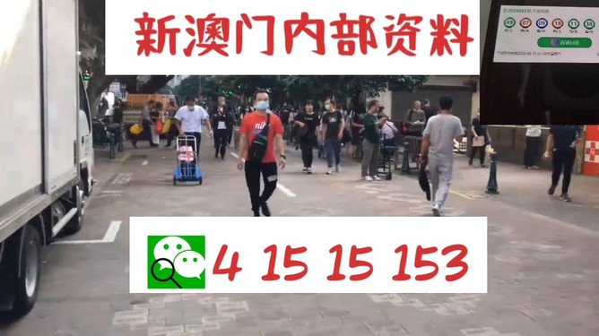 澳門管家婆一馬一中一開，揭秘背后的秘密與策略，澳門管家婆一馬一中一開，揭秘背后的秘密與策略揭秘背后的秘密與策略