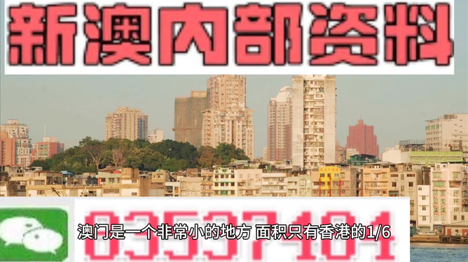 澳門精準(zhǔn)資料大全免費(fèi)，探索與解析，澳門精準(zhǔn)資料大全免費(fèi)解析探索