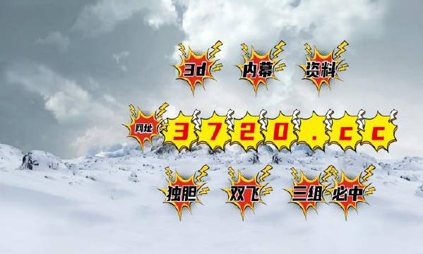 揭秘4887王中王精準(zhǔn)資料，全方位解讀，讓你贏在起跑線，揭秘王中王精準(zhǔn)資料，全方位解讀助你贏在起跑線