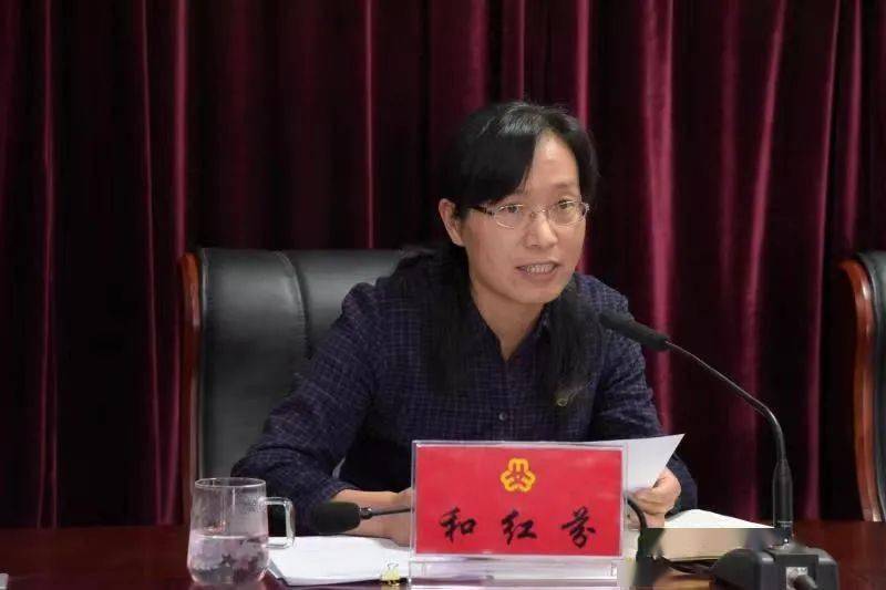 二四六香港期期中的資料解析與SEO優(yōu)化策略，香港期期二四六資料解析與SEO優(yōu)化策略探討