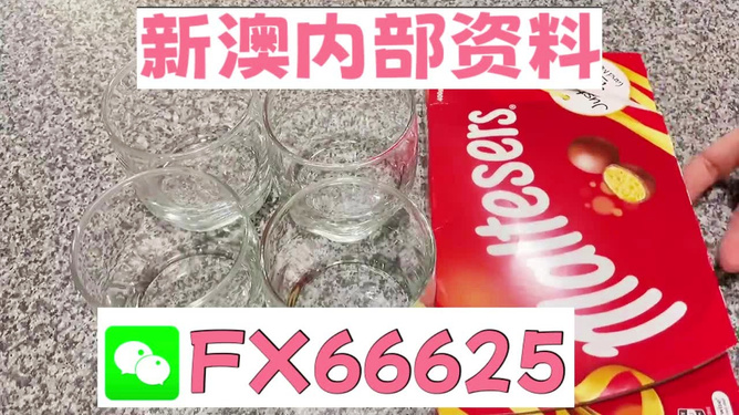 新奧正版免費(fèi)料大全，探索與獲取，新奧正版免費(fèi)料大全，探索與獲取之旅