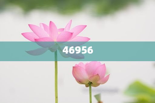 新奧集團(tuán)，邁向2025，天天開(kāi)好彩的愿景與挑戰(zhàn)，新奧集團(tuán)邁向2025，實(shí)現(xiàn)天天開(kāi)好彩的愿景與挑戰(zhàn)