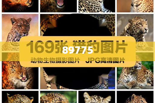 關(guān)于新奧歷史開獎記錄的最新信息，今天公布了嗎？，新奧歷史開獎記錄最新信息公布了嗎？