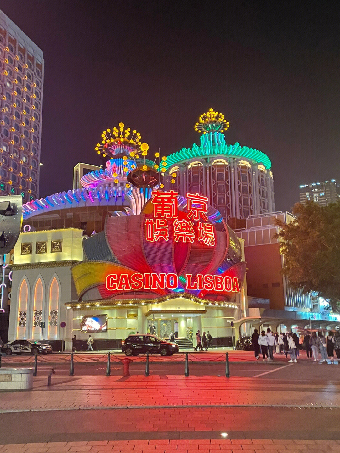 澳門今晚必開一肖一特芳草地，探索生肖與運勢的神秘面紗，澳門生肖運勢揭秘，探索今晚必開一肖一特芳草地神秘面紗的運勢之旅