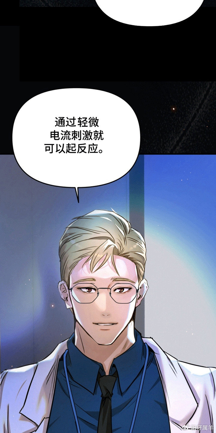 夜間診療室韓漫免費(fèi)，探索醫(yī)療與娛樂的新領(lǐng)域，夜間診療室韓漫免費(fèi)，醫(yī)療與娛樂的新領(lǐng)域探索