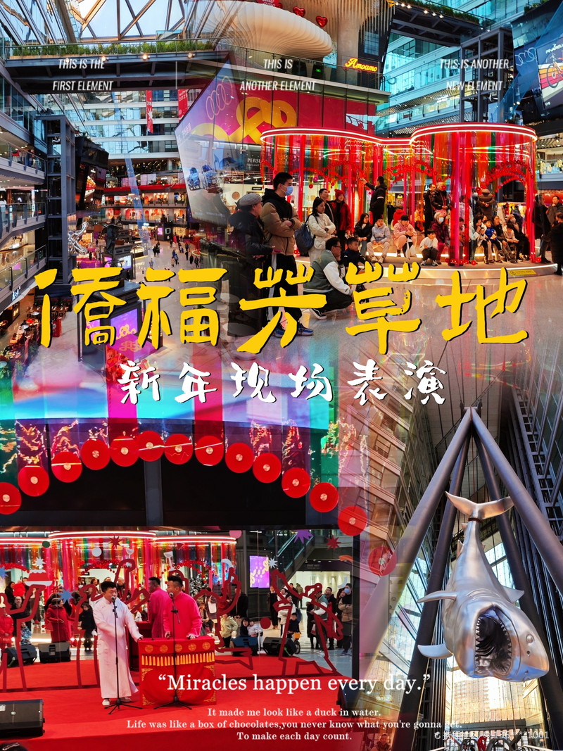 最新揭秘，2024新澳芳草地全方位資料詳解，揭秘2024新澳芳草地全方位資料，最新詳解