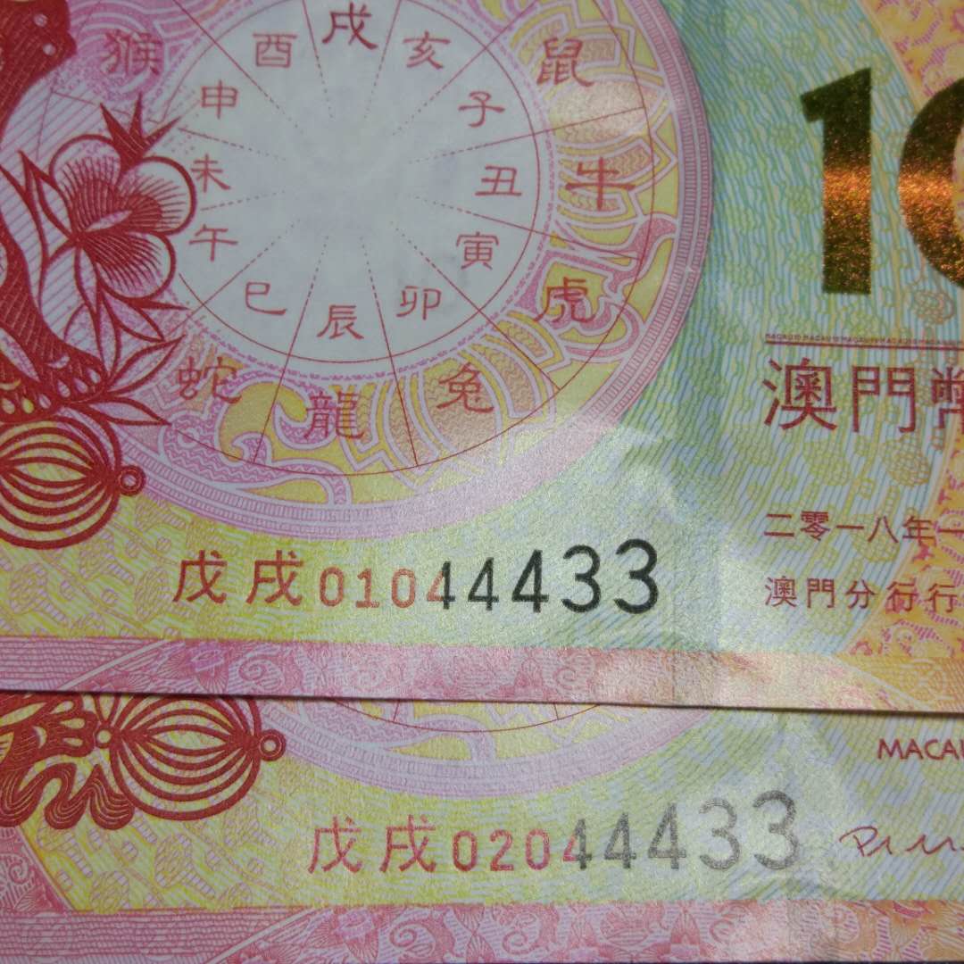 今晚9點30澳門的生肖是什么——揭秘澳門生肖預測之謎，澳門生肖預測揭秘，今晚9點30分的生肖揭曉之夜