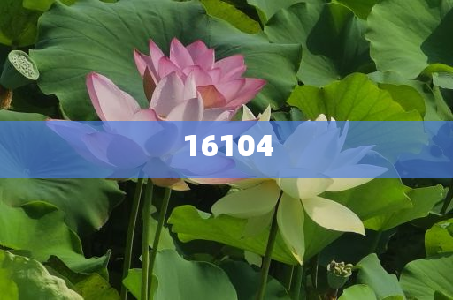 新奧600圖庫2025，探索與前瞻，新奧600圖庫2025，深度探索與未來展望