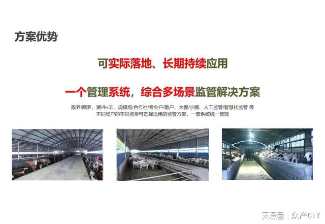 探索新澳芳草地，正版資料的免押之旅（2025年最新資訊），探索新澳芳草地，正版資料免押之旅（最新資訊）